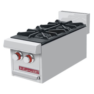 PCV-2-MASTER-T