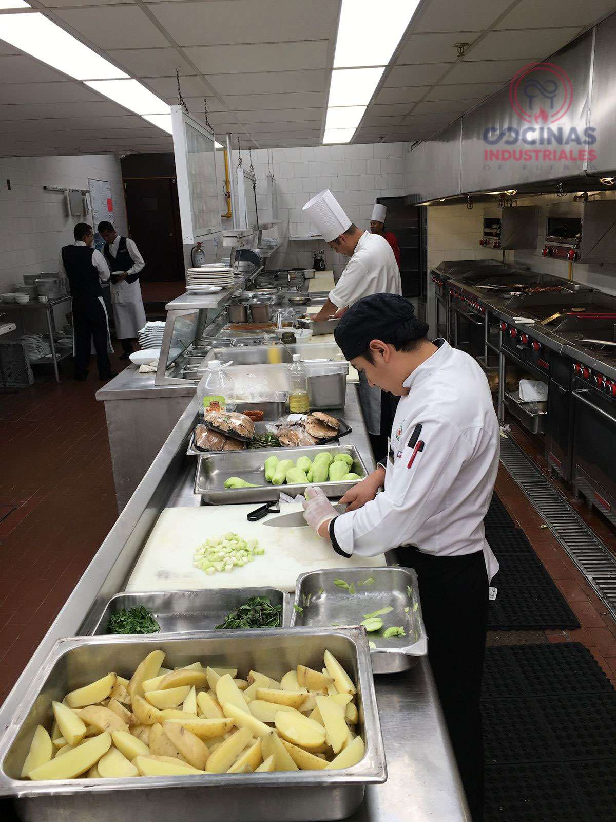 Cocinas industriales 15