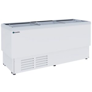 Congelador paletero CHV15